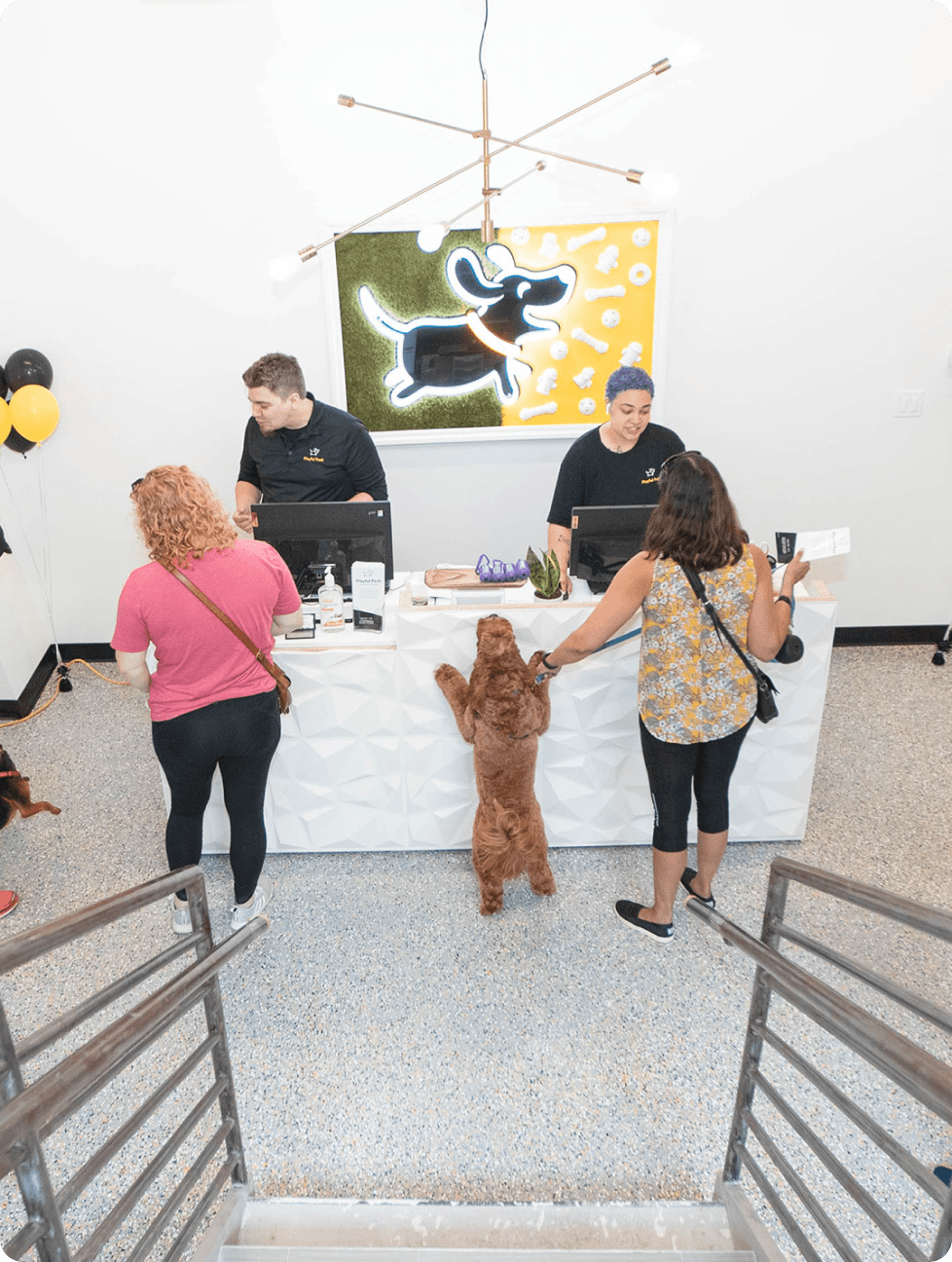 Customers and employees with a dog at the front desk