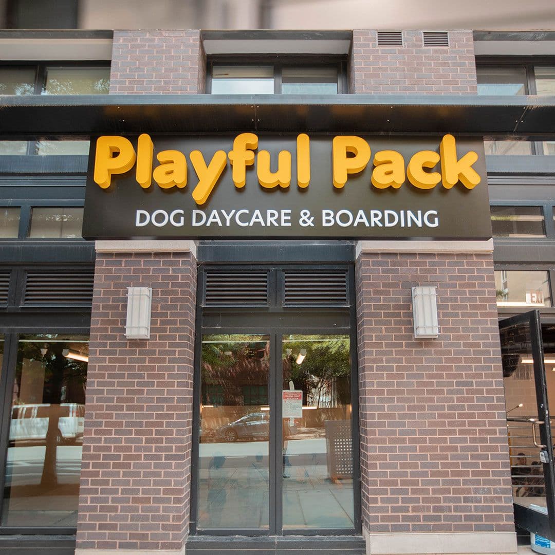 Entrance to Playful Pack's location in Arlington, VA