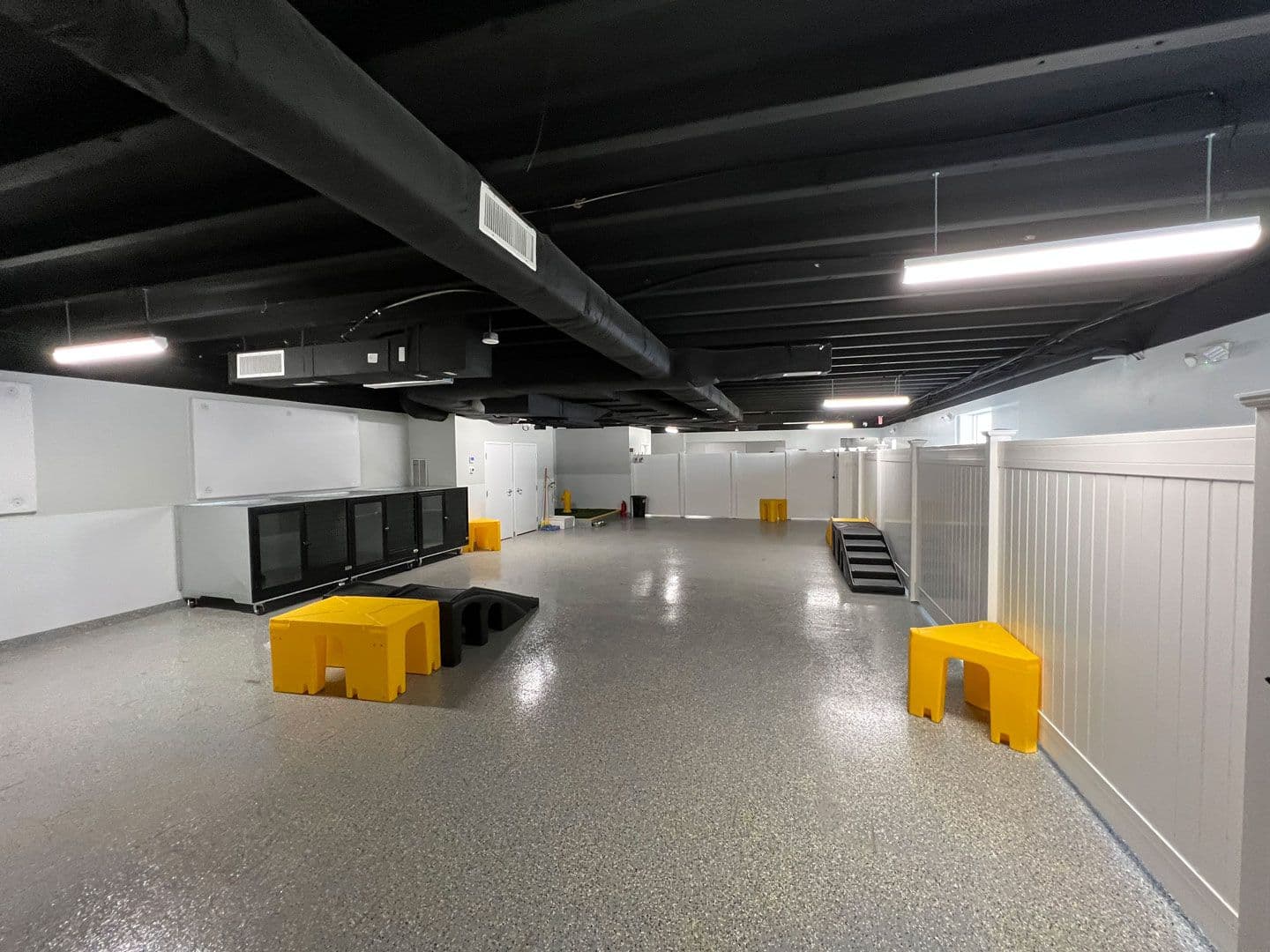 Picture of Playful Pack's Daycare room in Rockville, MD