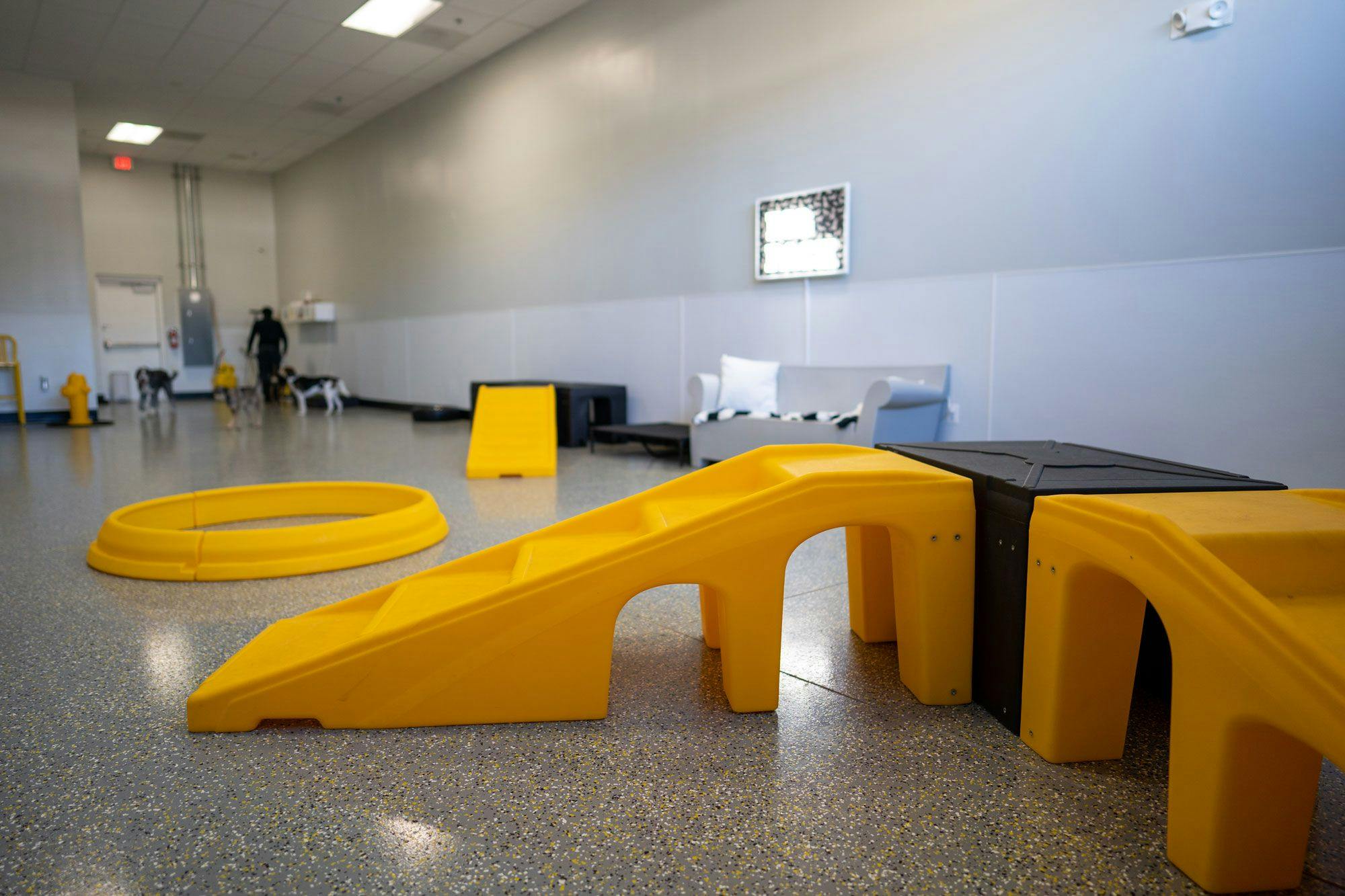 Playful Pack dog daycare room with yellow ramps and play areas