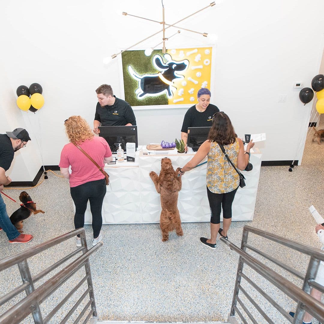 Lobby inside Playful Pack, Arlington location