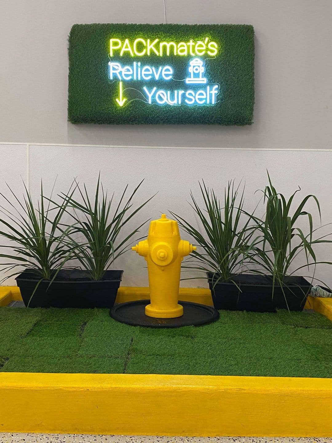 Playful Pack's daycare room in McLean, VA