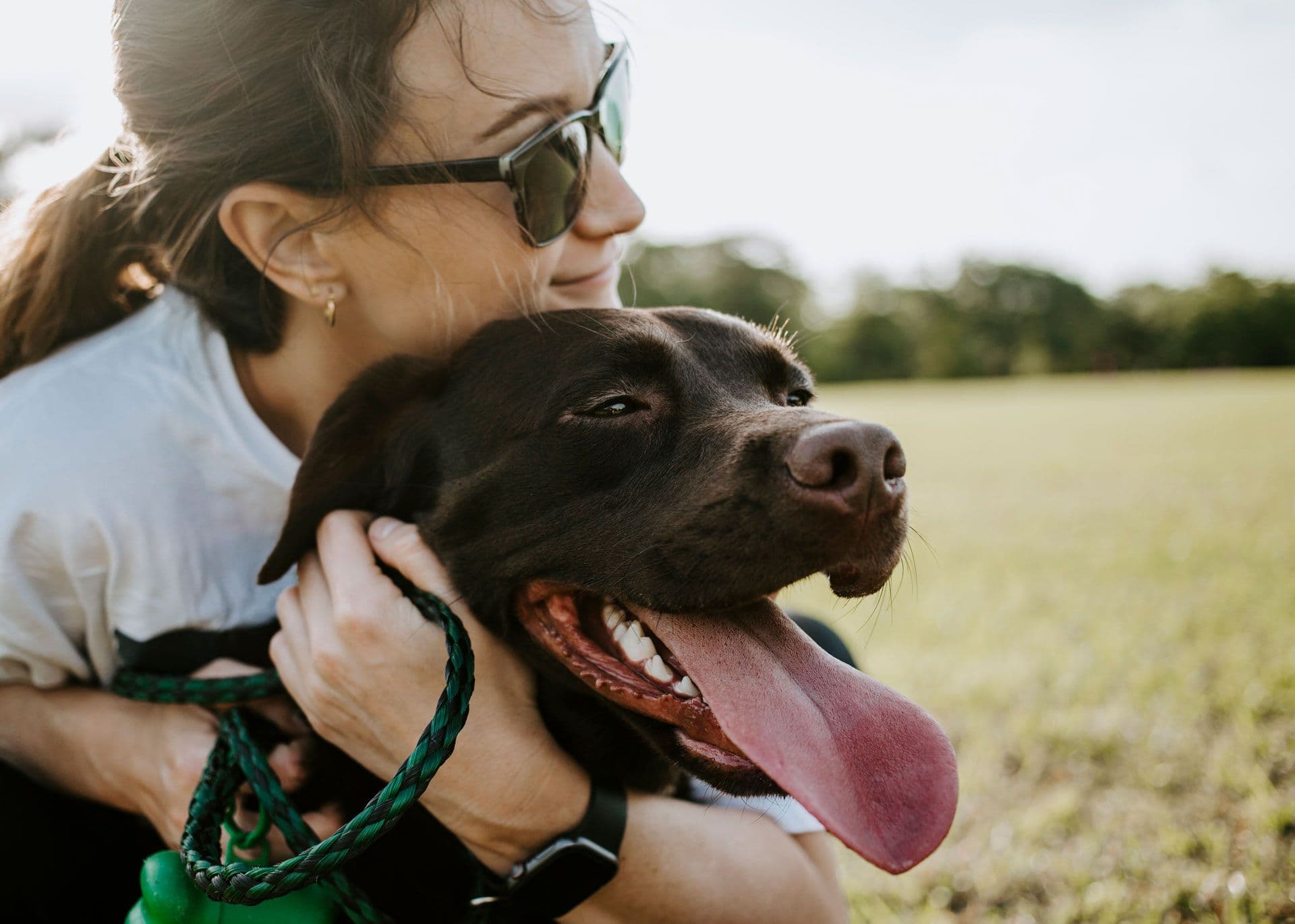 a black dog with its owner at an open field