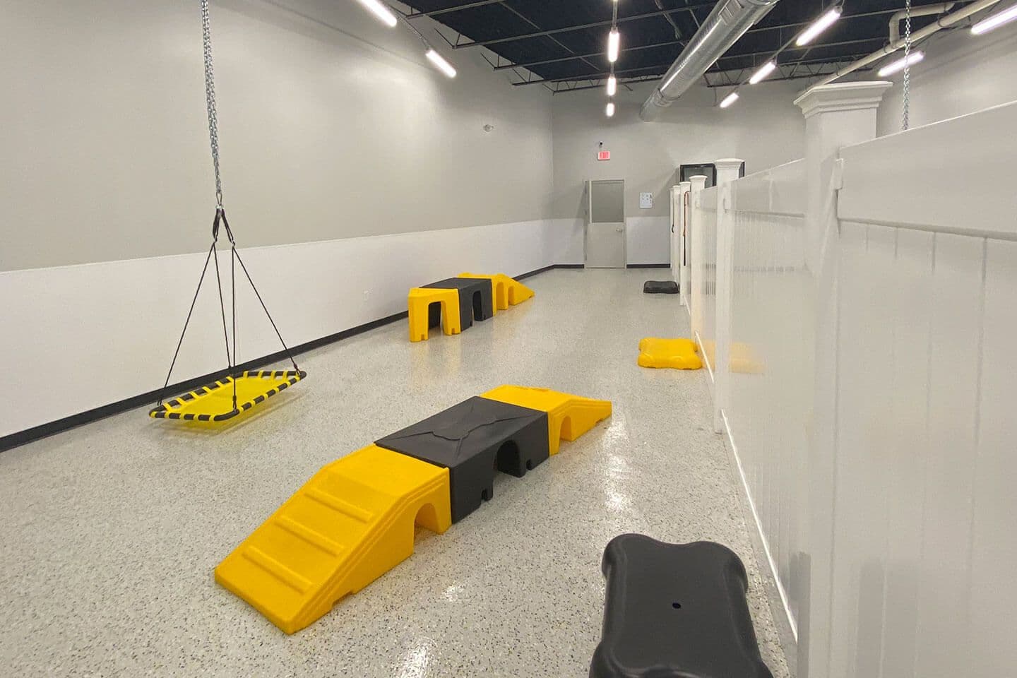 Playful Pack's daycare room in McLean, VA