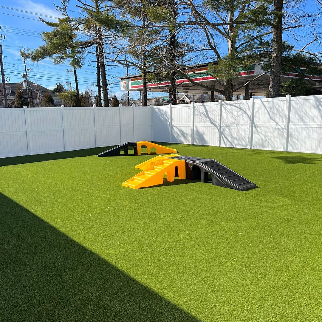 Picture of Playful Pack's patio in Rockville, MD