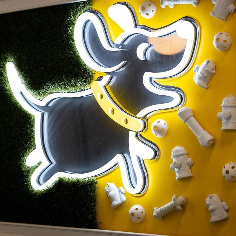 Join The Playful Pack Team Playful Pack