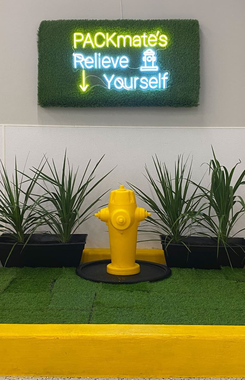 Join The Playful Pack Team Playful Pack